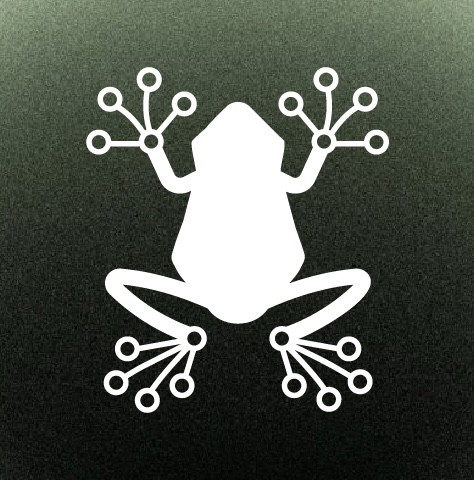 Rainfrog AI — Logo