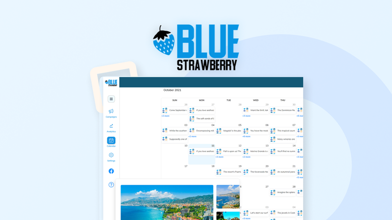 Blue Strawberry - Professional Account