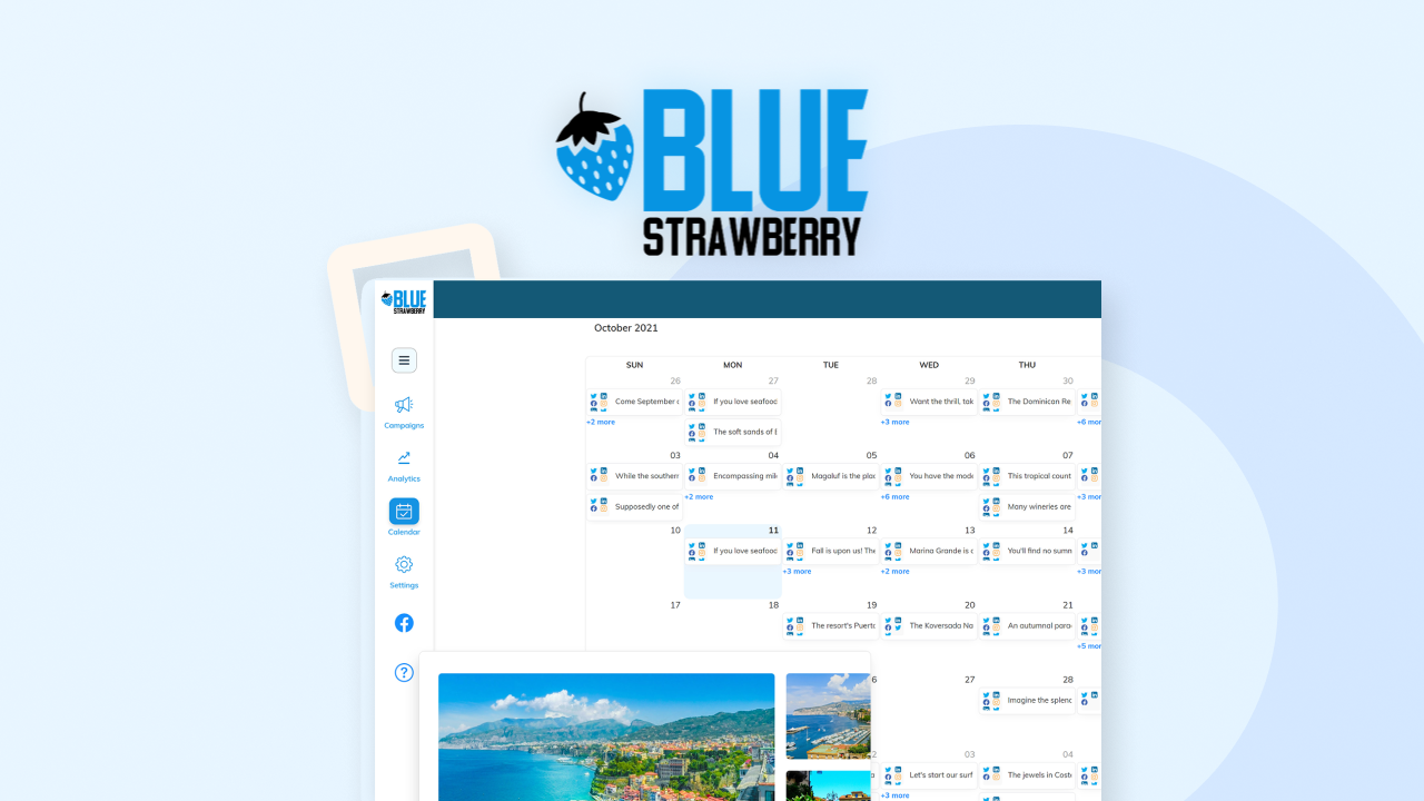 Blue Strawberry - Professional Account logo