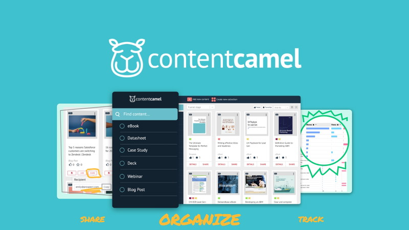 Content Camel
