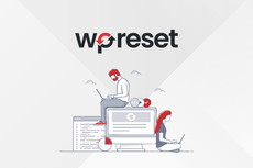 WP Reset Team Plan thumbnail