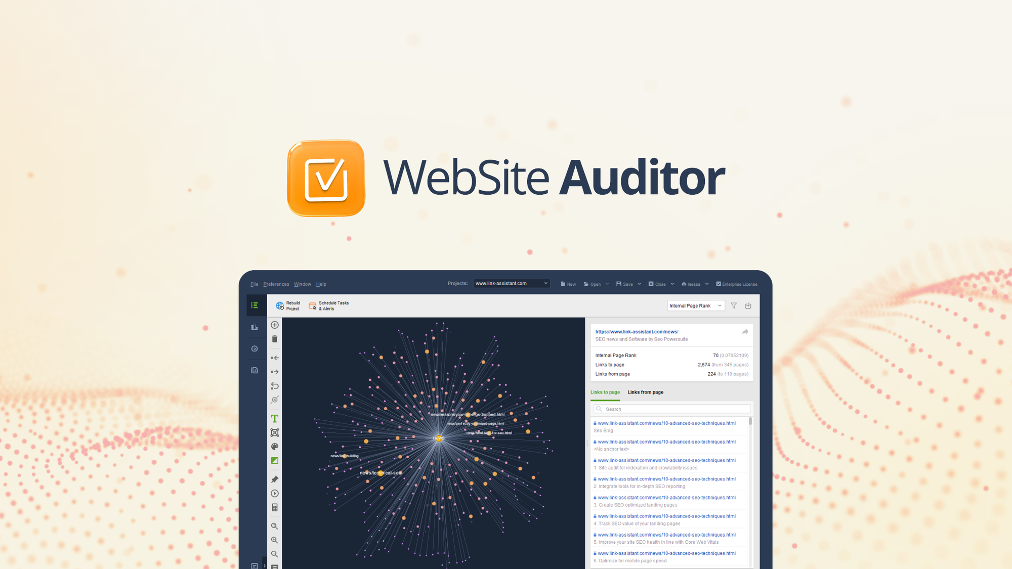 website auditor