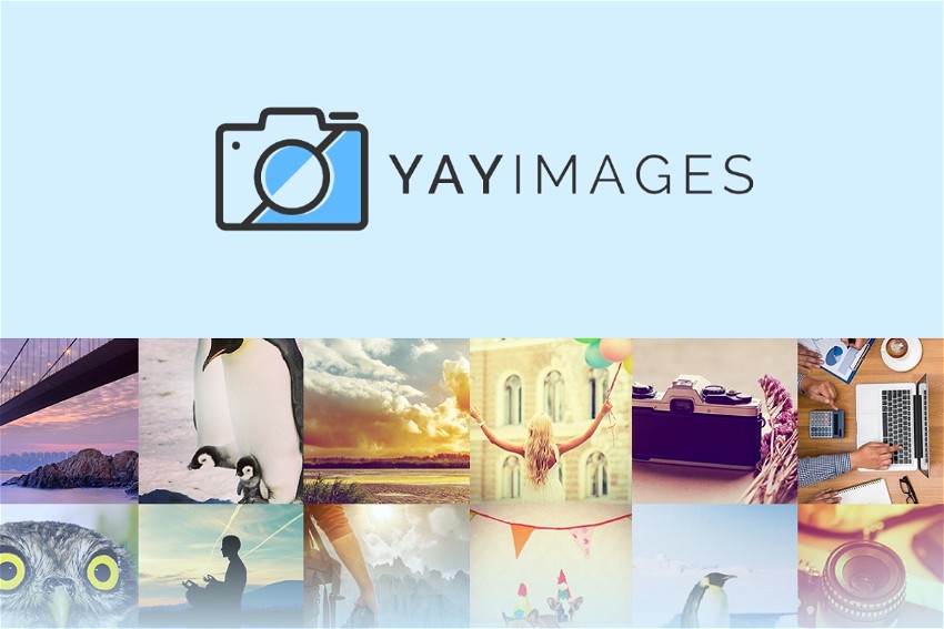 Yay Images Startups