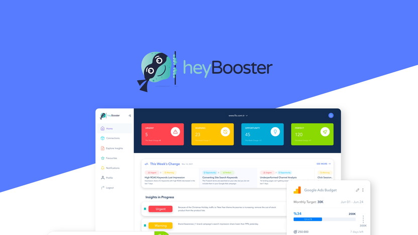 Heybooster Lifetime Deal: Unlock Limitless SEO Insights