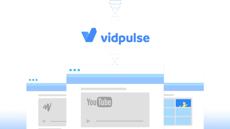 Vidpulse Pro