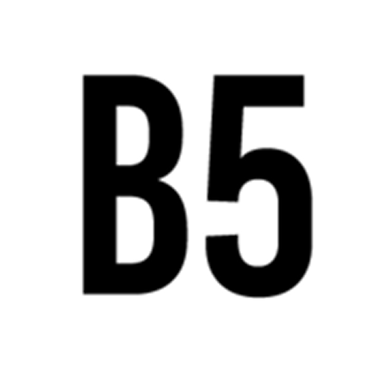 Branding5 logo