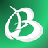 Brandolia logo