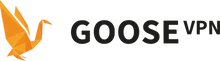 GOOSE VPN