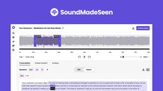 SoundMadeSeen thumbnail