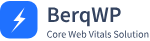BerqWP - Speed Optimization on Autopilot