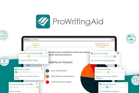 ProWritingAid Premium Lifetime License