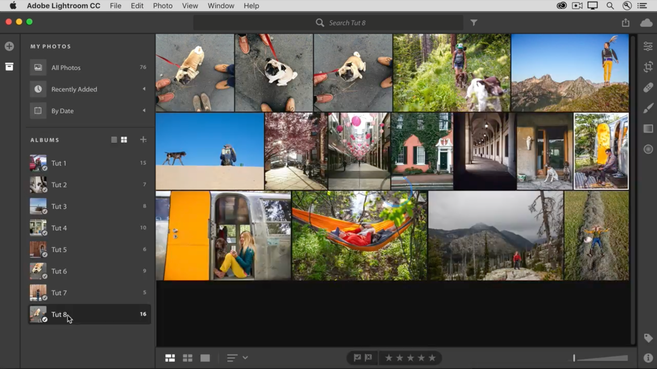 Organize your photos into albums