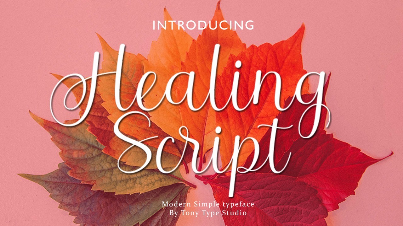 AppSumo Deal for Healing Script