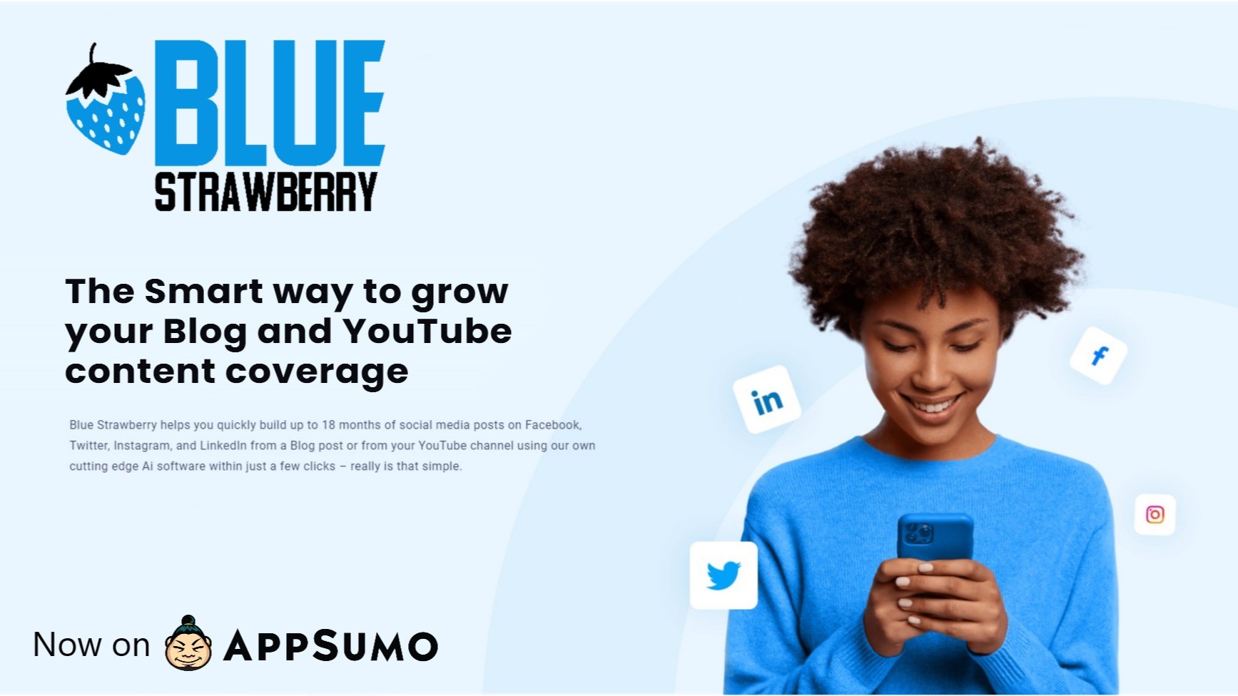 AppSumo Deal for Blue Strawberry - Professional Account