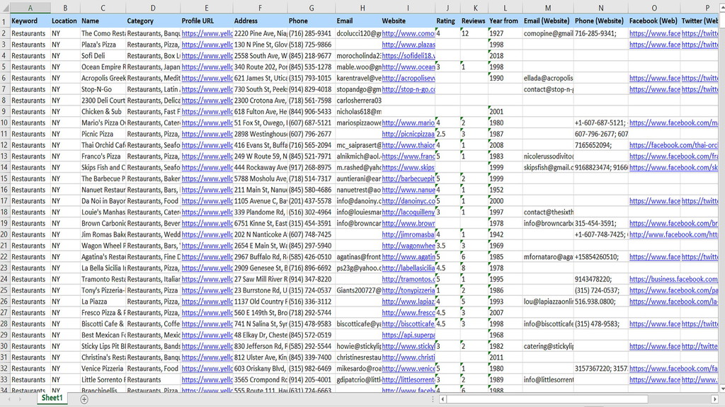 Who Should Use Reoon Lead Scraper (YellowPages)