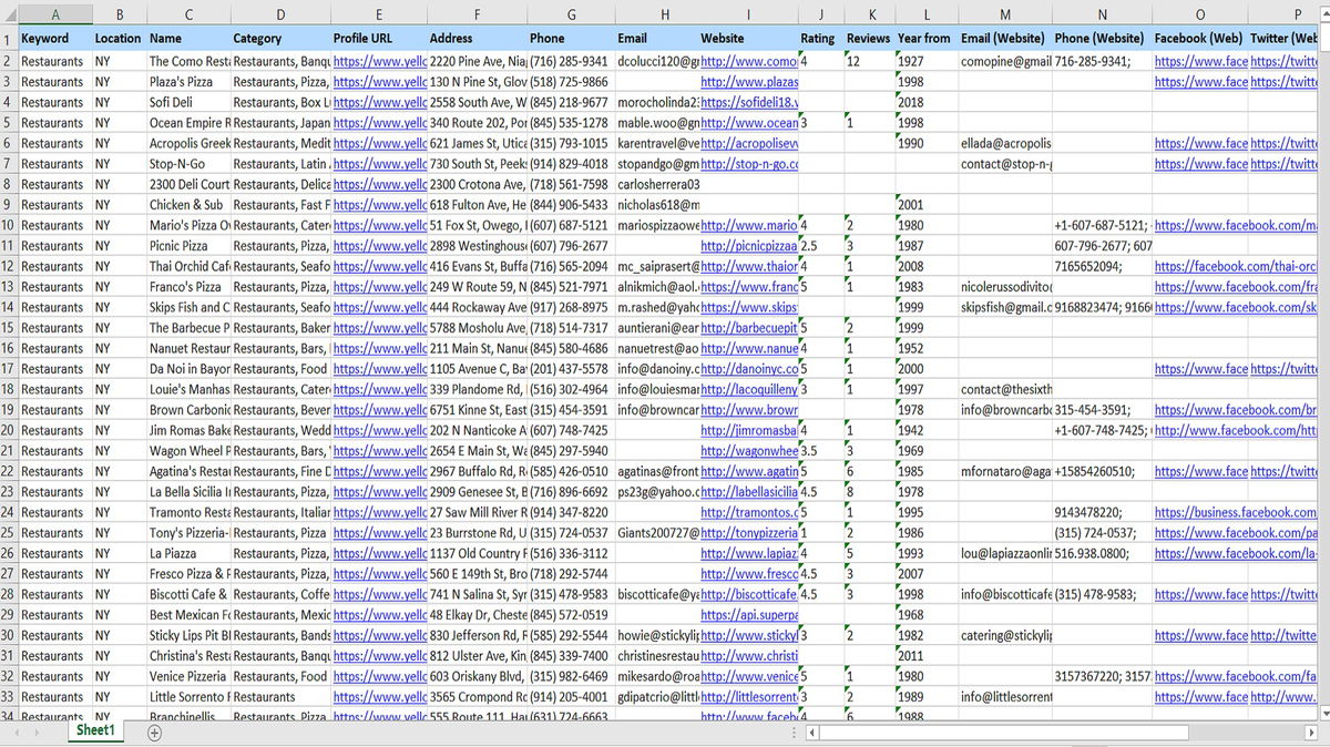 Get email, phone, and social media leads of your potential customers.