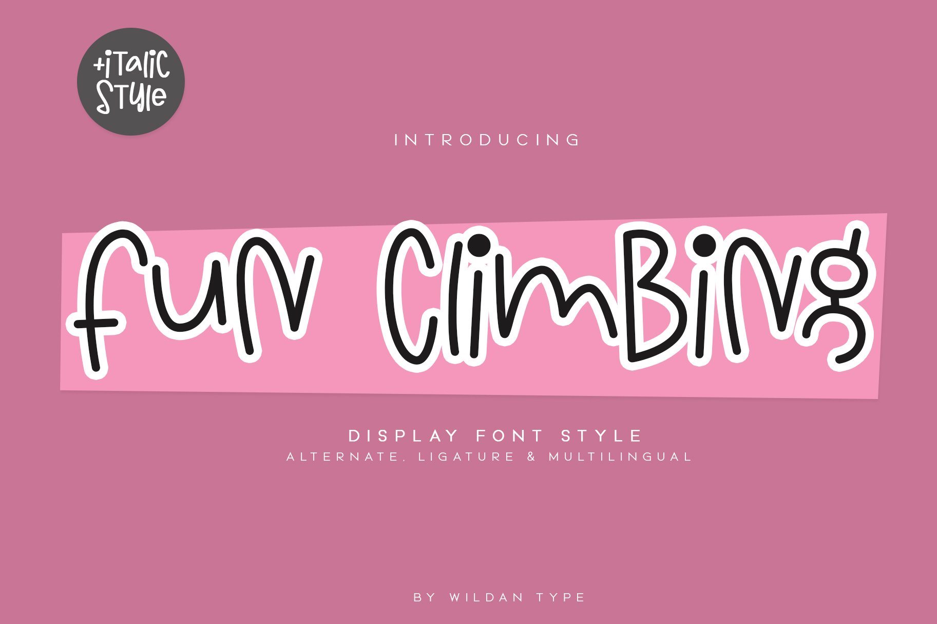 AppSumo Deal for Fun Climbing