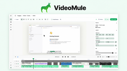 VideoMule
