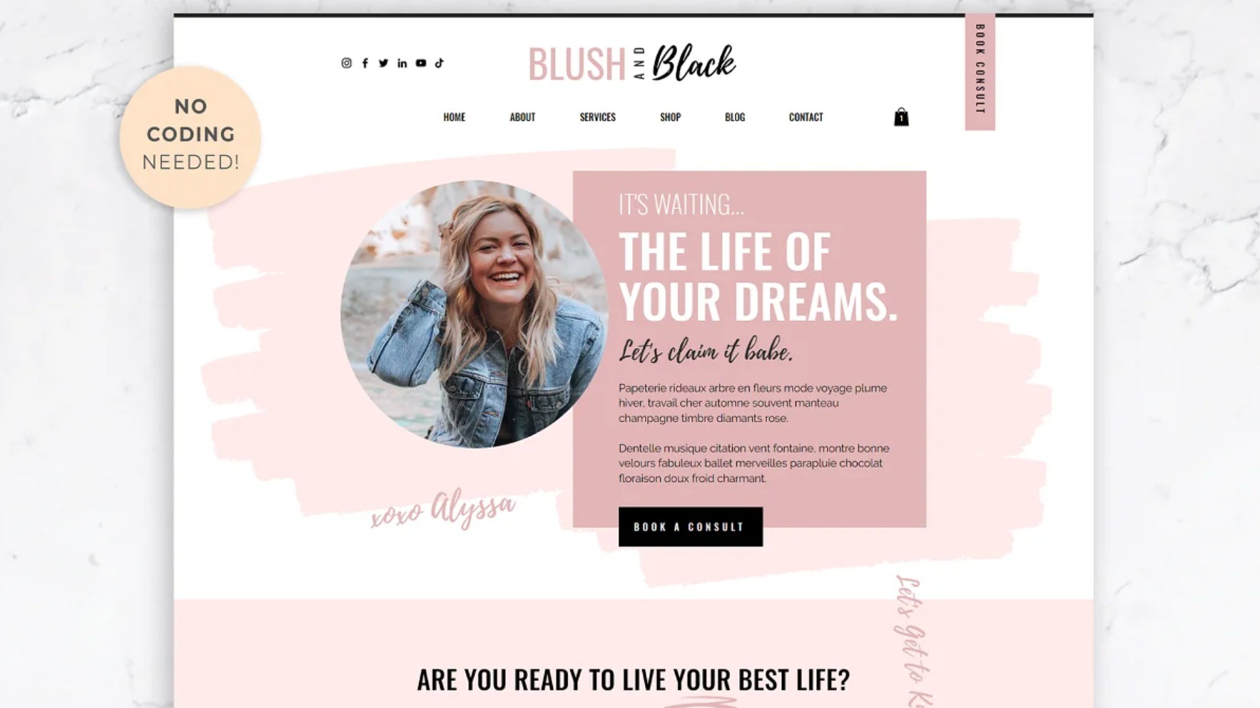AppSumo Deal for Wix Website Template | Blush & Black
