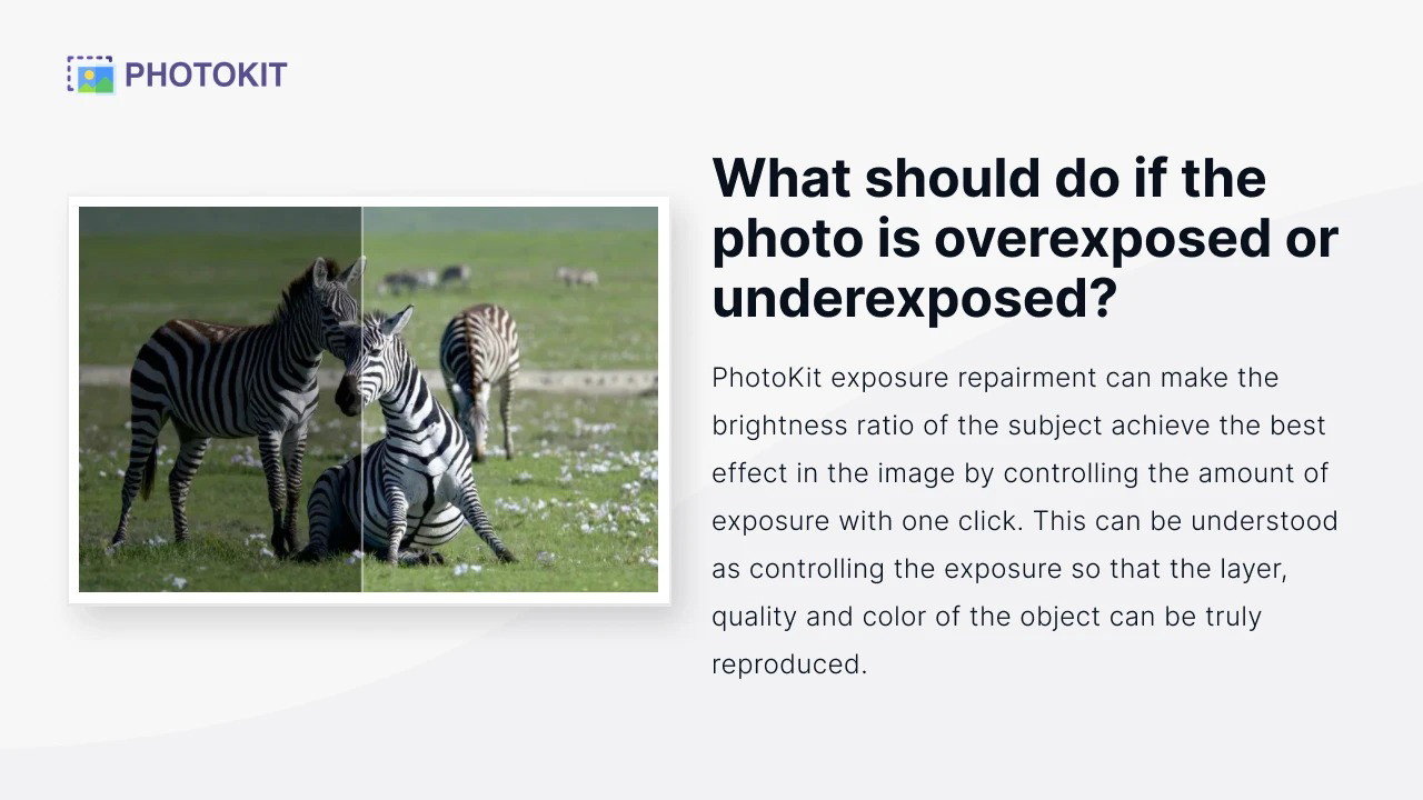 Photokit - Plus exclusive