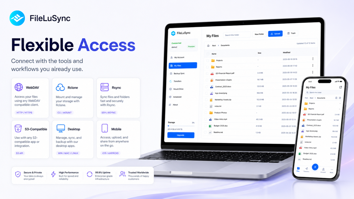 Lifetime Cloud Storage Value