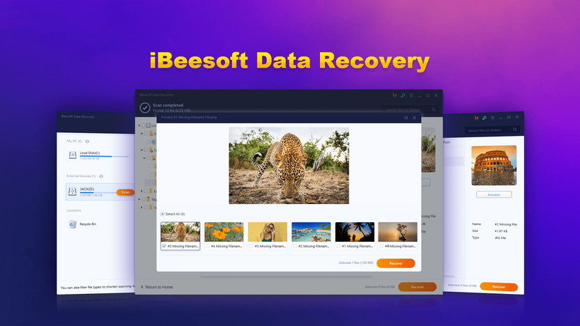 Full iBeesoft Data Recovery screenshot