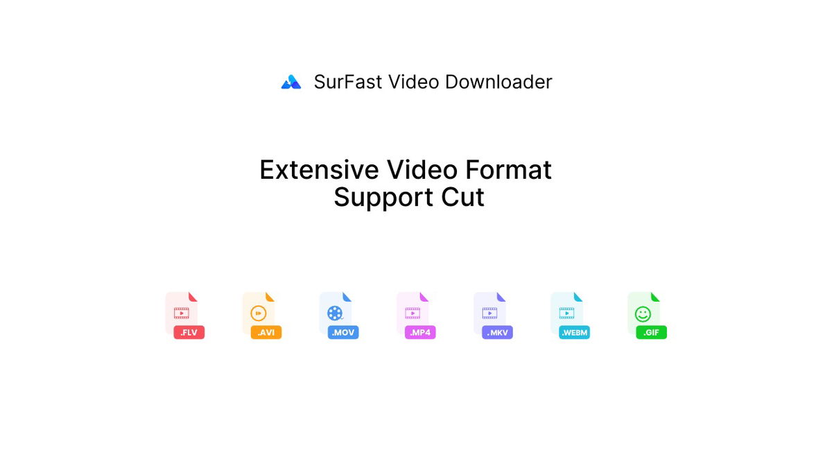 Access videos in multiple formats like MP4, MOV, FLV, and AVI.