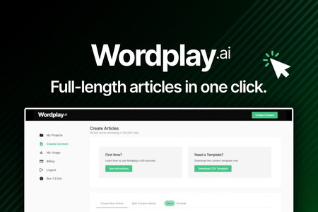 article writer