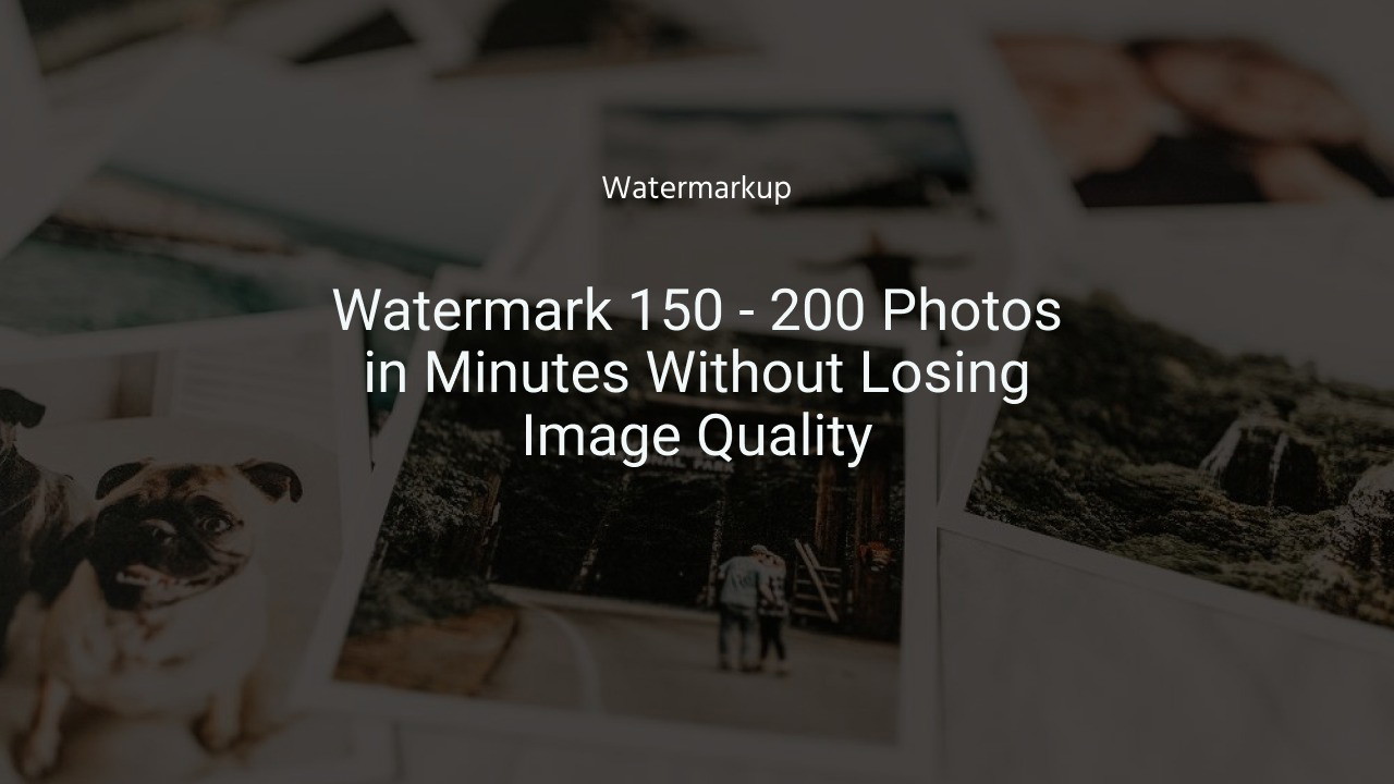 Watermarkup interface showing batch processing