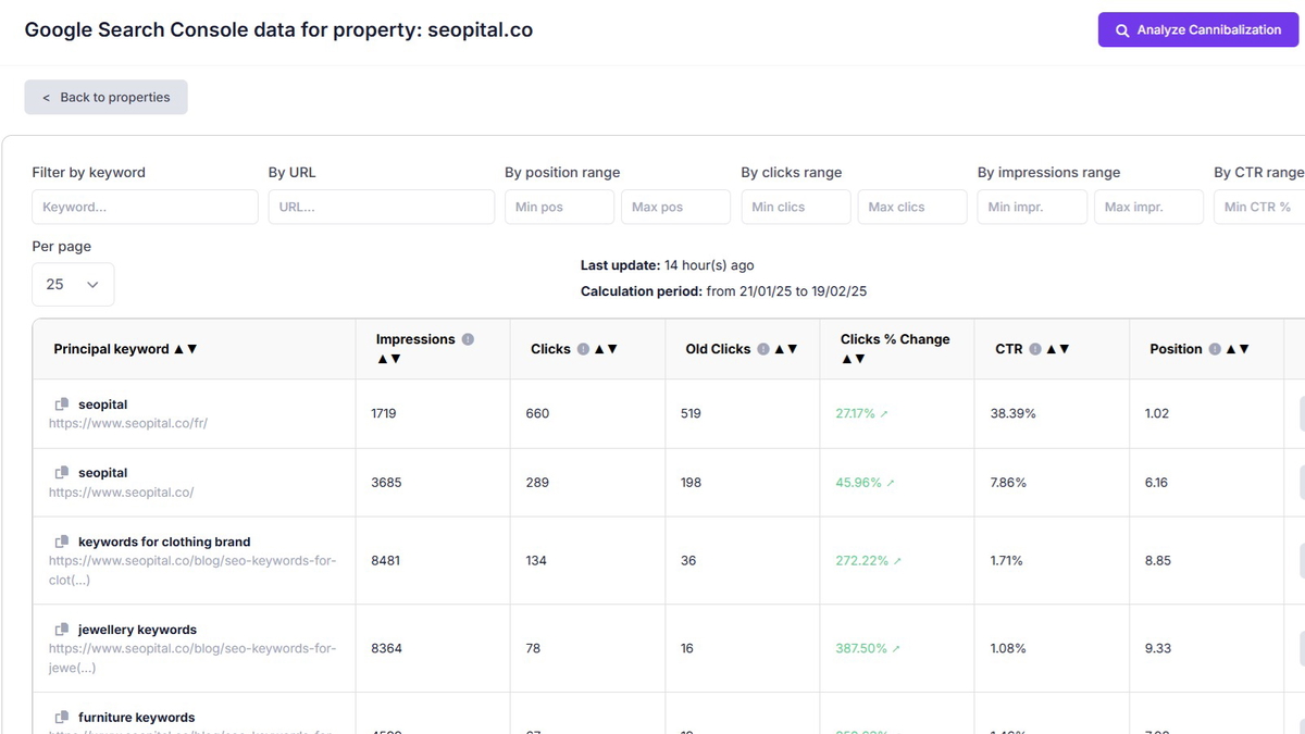 Track & analyze your SEO performance in real-time