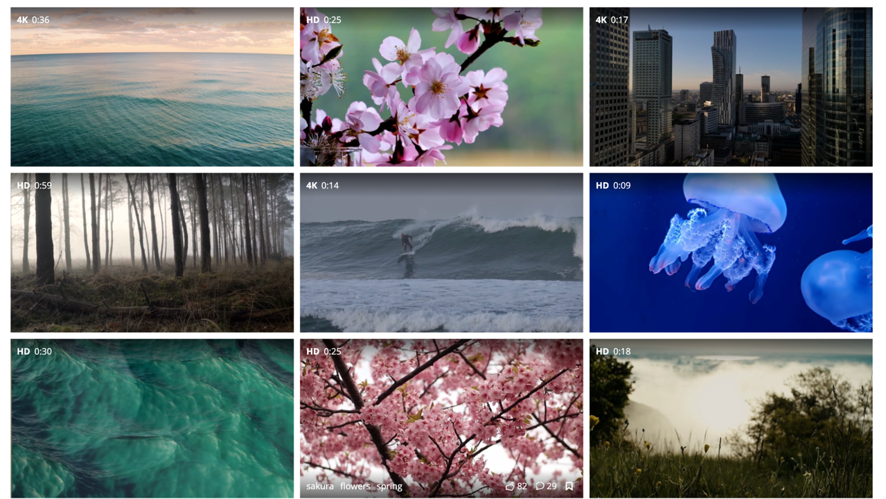 Pixabay videos