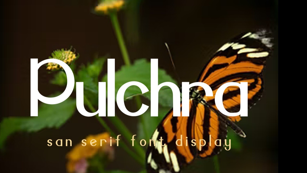 AppSumo Deal for Pulchra