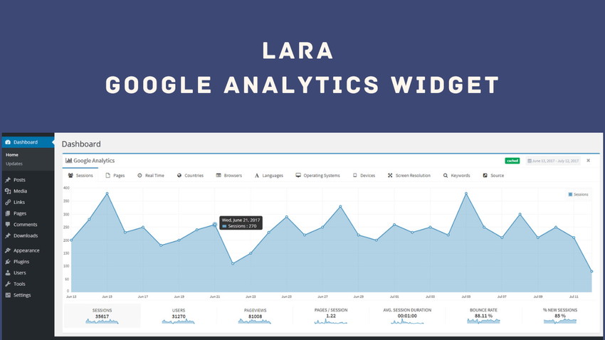 Lara, Google Analytics Widget