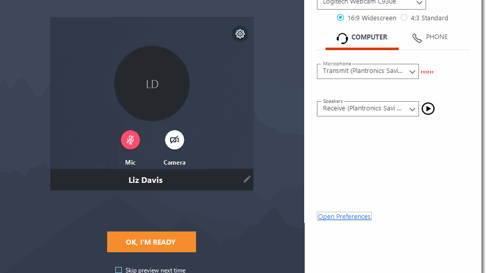 Preview with options for microphone and speaker