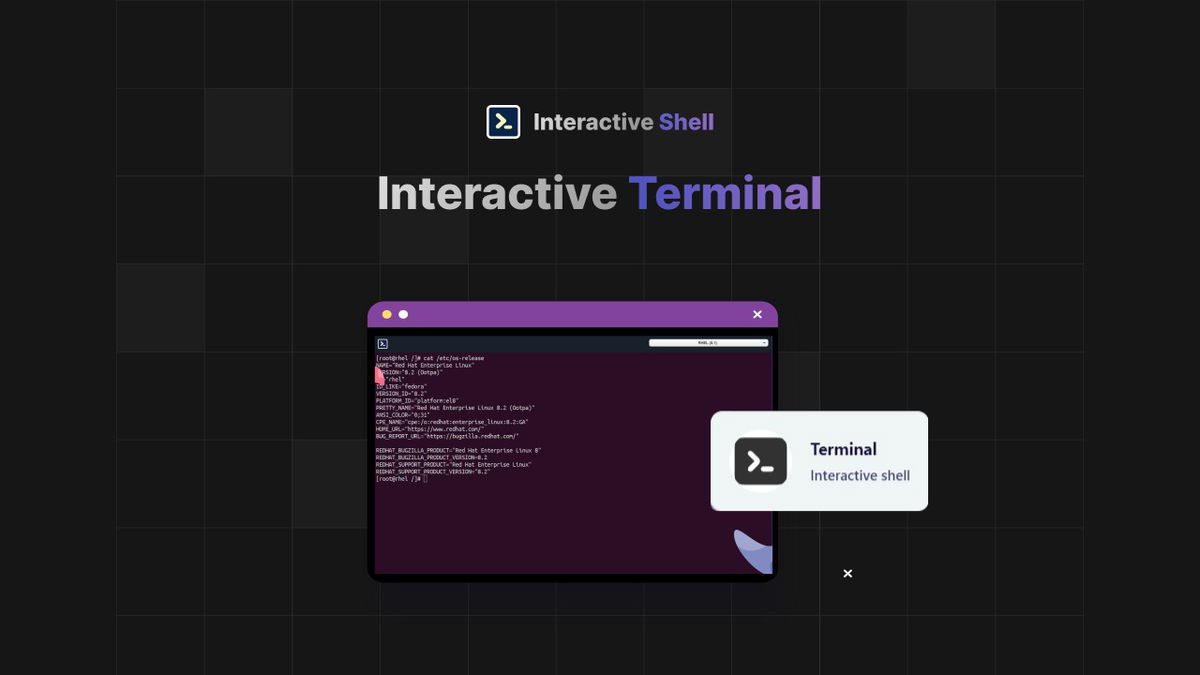 Get instant access to Linux and Windows terminals.