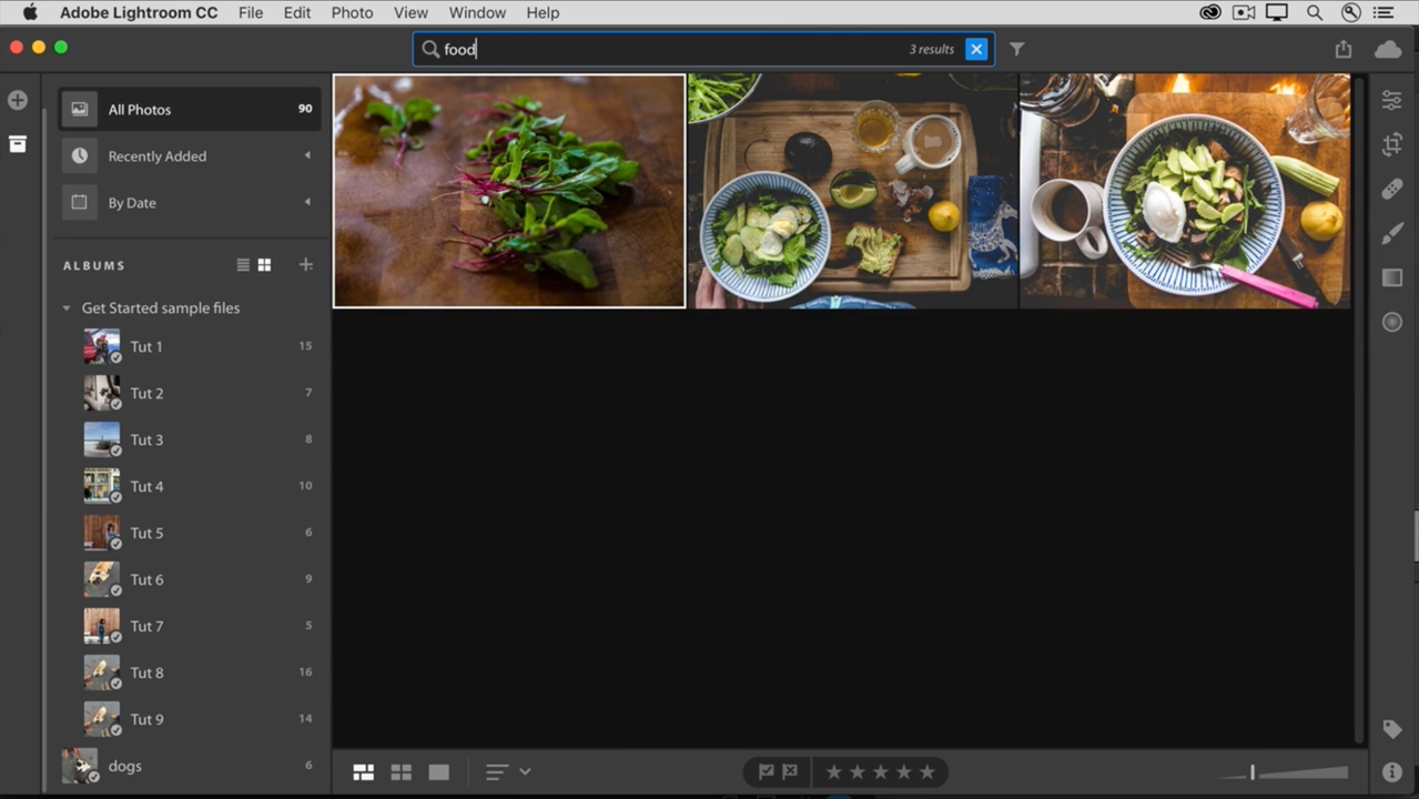 Search for photos by content