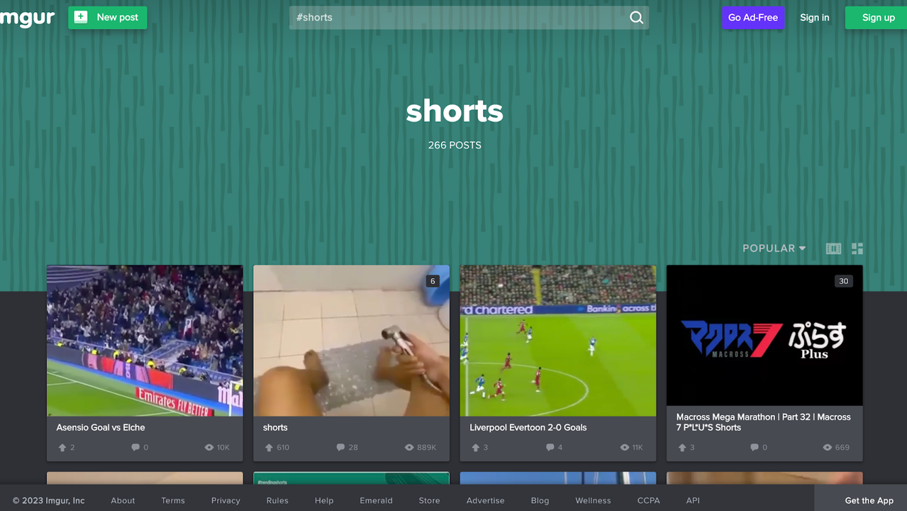 Search content using hashtags