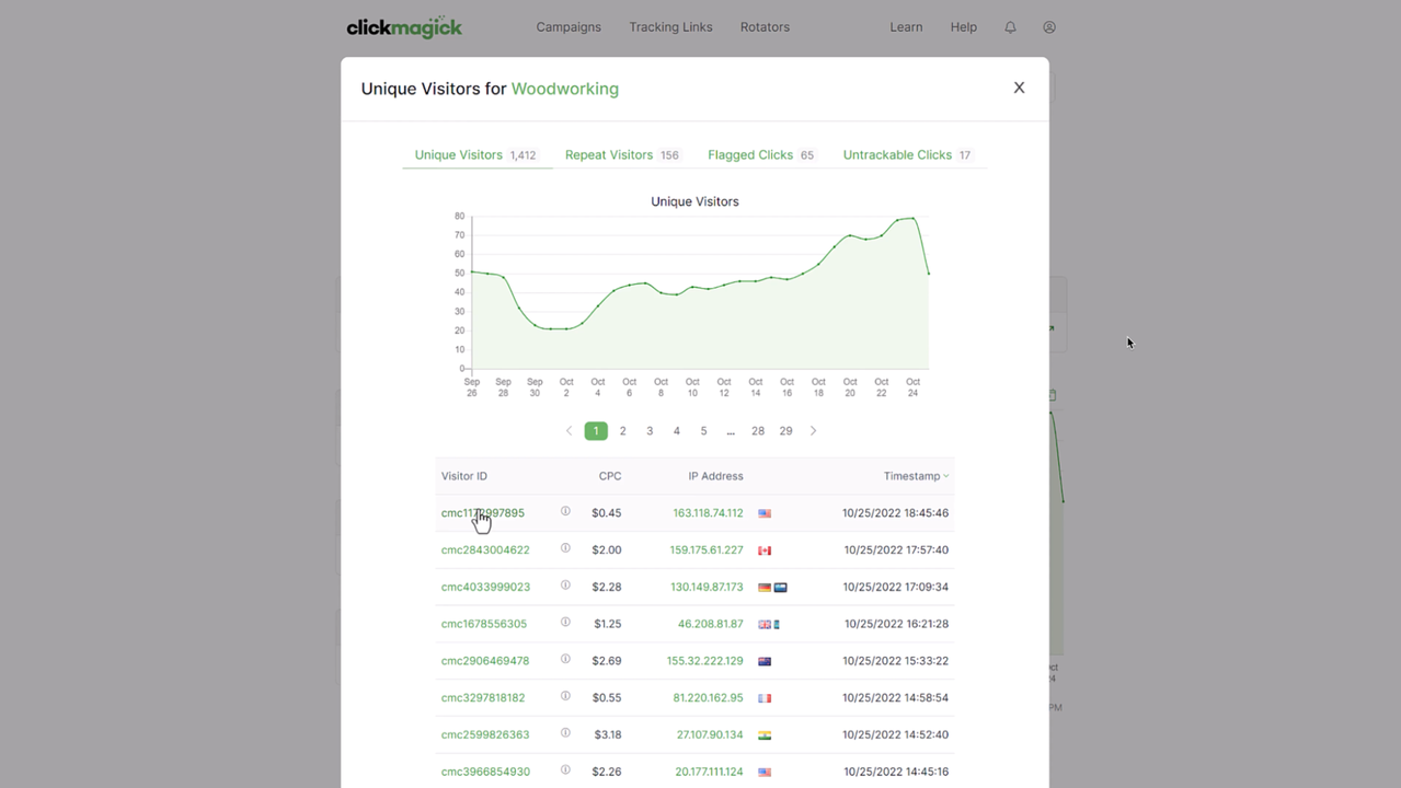 View website visitor history through profiles