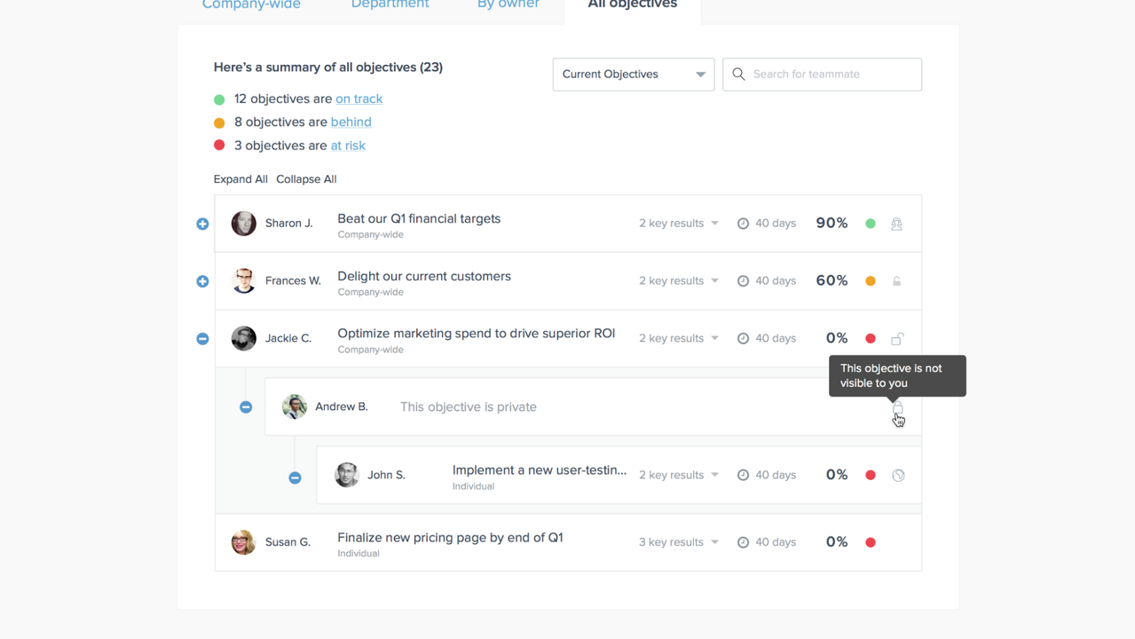 Set objectives from the dashboard and control who can see them