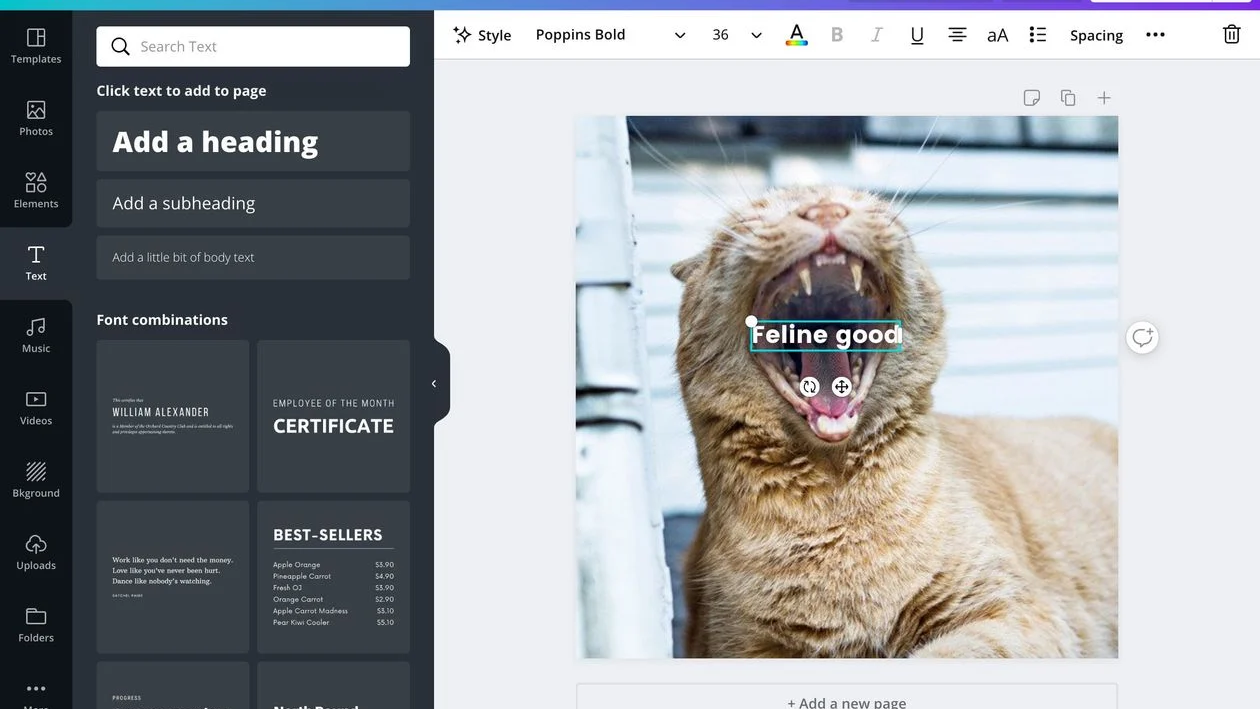 Add text to your design on Canva