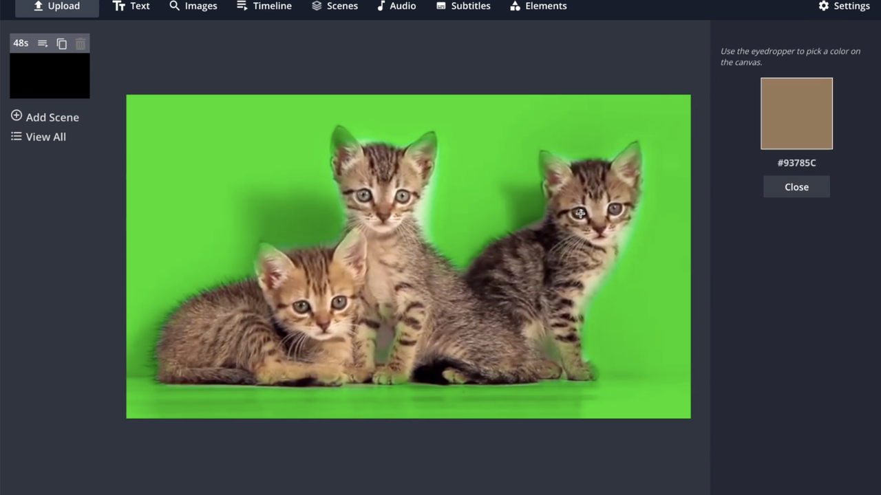 Kapwing’s green screen editor