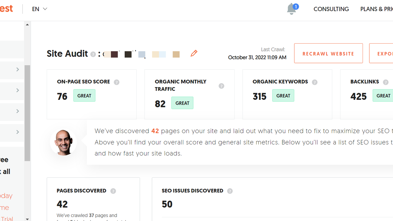 Audit site