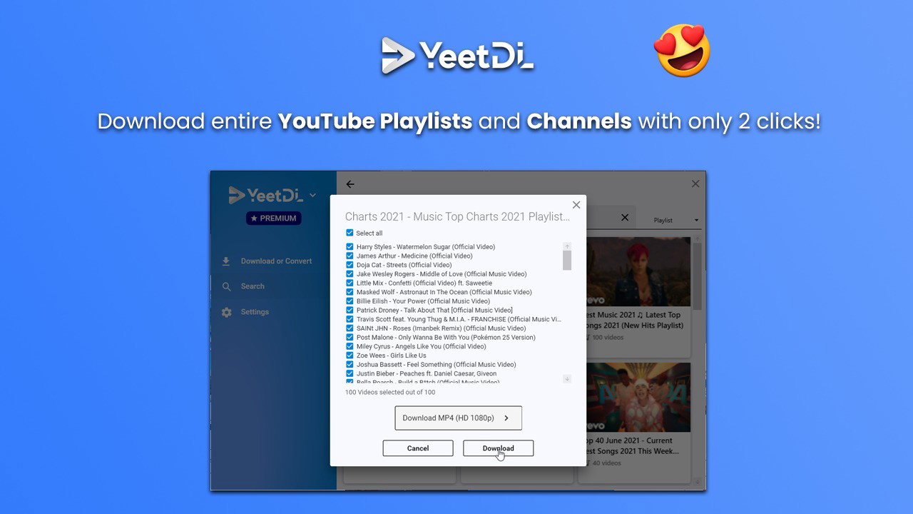 YeetDL Interface Screenshot