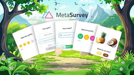 MetaSurvey — Plus exclusive