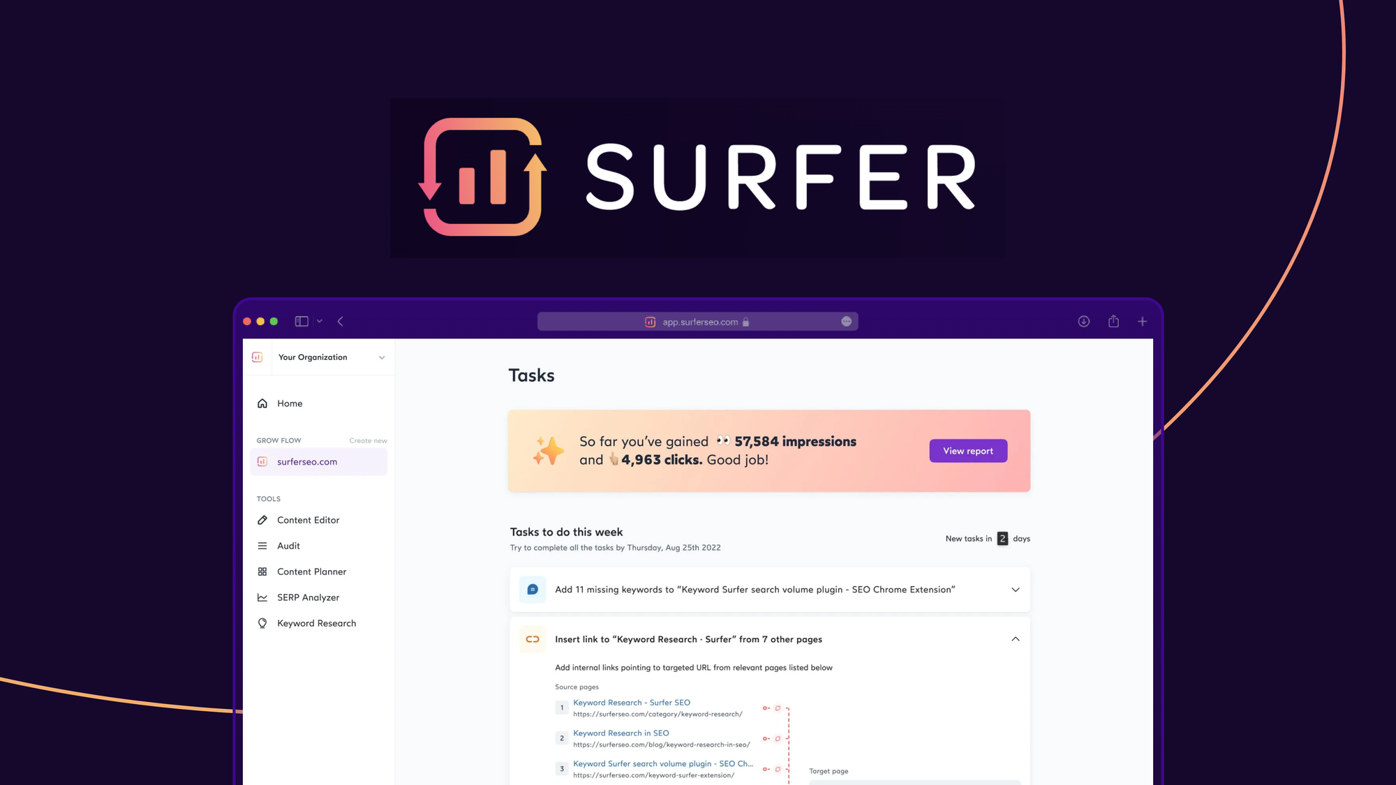 How to use Surfer SEO Within WordPress