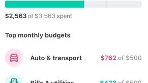 Monitor budget