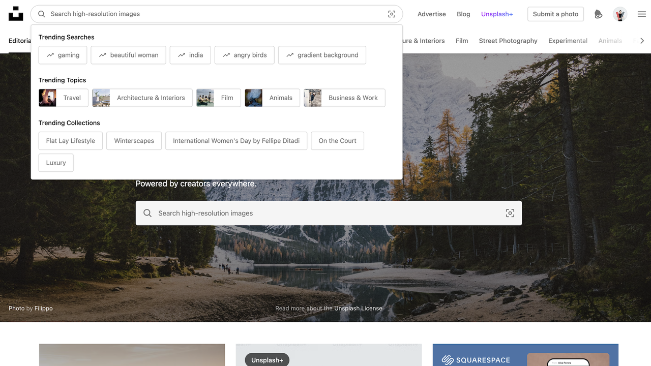 Unsplash Trending Searches