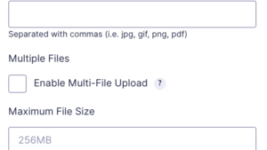 Limit what file types users upload