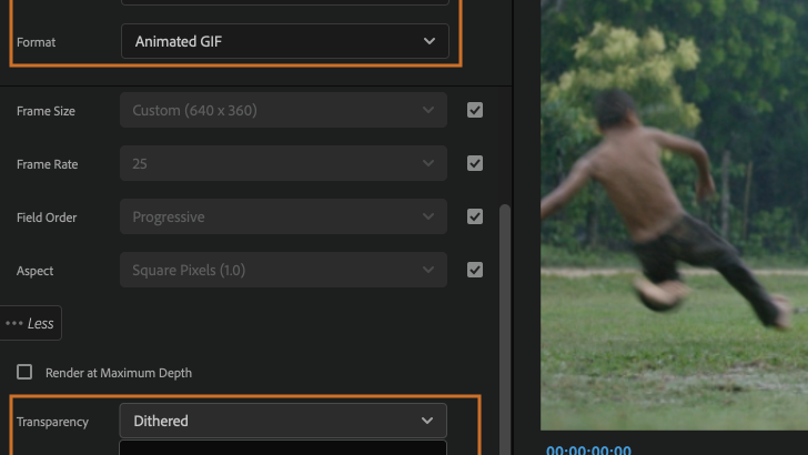 Export GIFs in Adobe Premiere