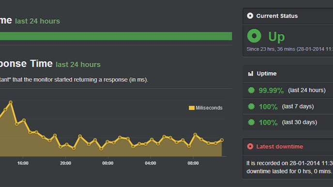 Website monitoring report